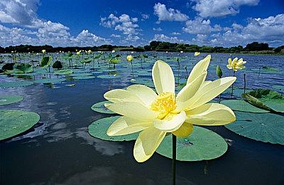 《战神5》交互设计师加盟《神奇女侠》游戏团队