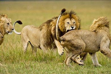 太空建造游戏《IXION》试玩Demo上线 支持简体中文