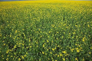 经典延续！民间项目《14号空间站》登陆Steam平台