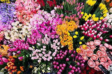 《潜行者2》开发者确认A-Life 2.0存在：正在修复和优化