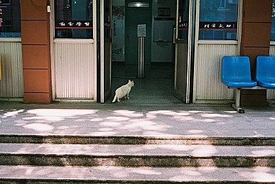 《控制2》开发来到重要里程碑 已经可以游玩了